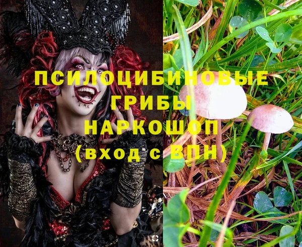 mdpv Лихославль