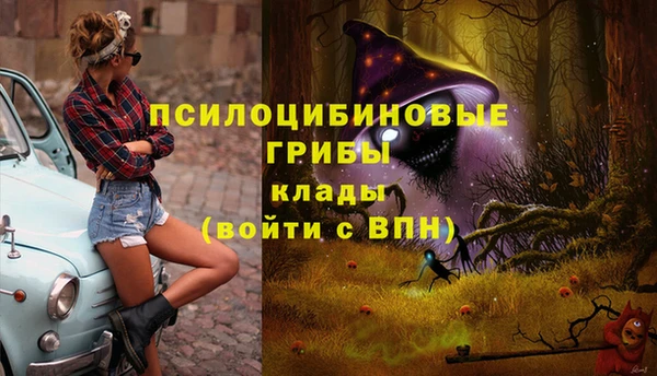 а пвп мука Липки