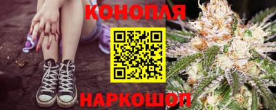 прущие грибы Абинск