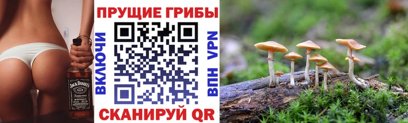 где купить Усть-Илимск KRAKEN ONION Галлюциногенные грибы ЛСД