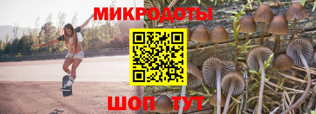 Галлюциногенные грибы мухоморы  Вход с VPN  Усть-Илимск 