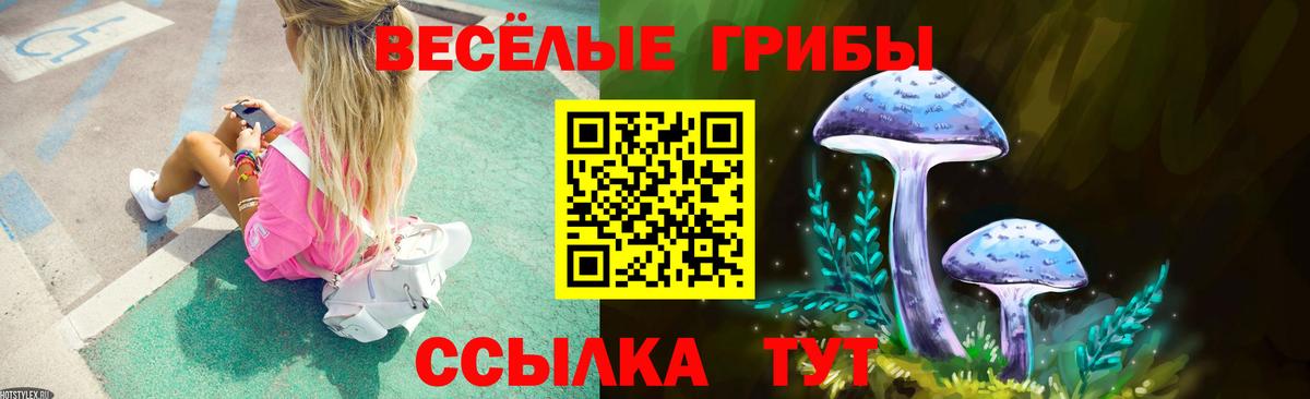 Галлюциногенные грибы MAGIC MUSHROOMS Усть-Илимск